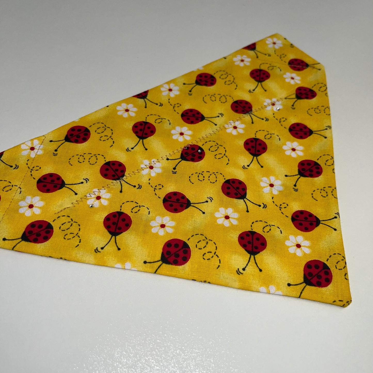 Lady Bug Bandana